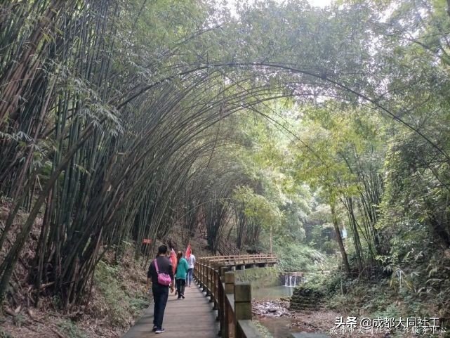夢享書院 黨群同行 | 902米的(de)高(gāo)山！你們說“征服”就“征服”了