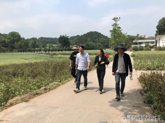 你不知道(dào)的(de)福田街道(dào)