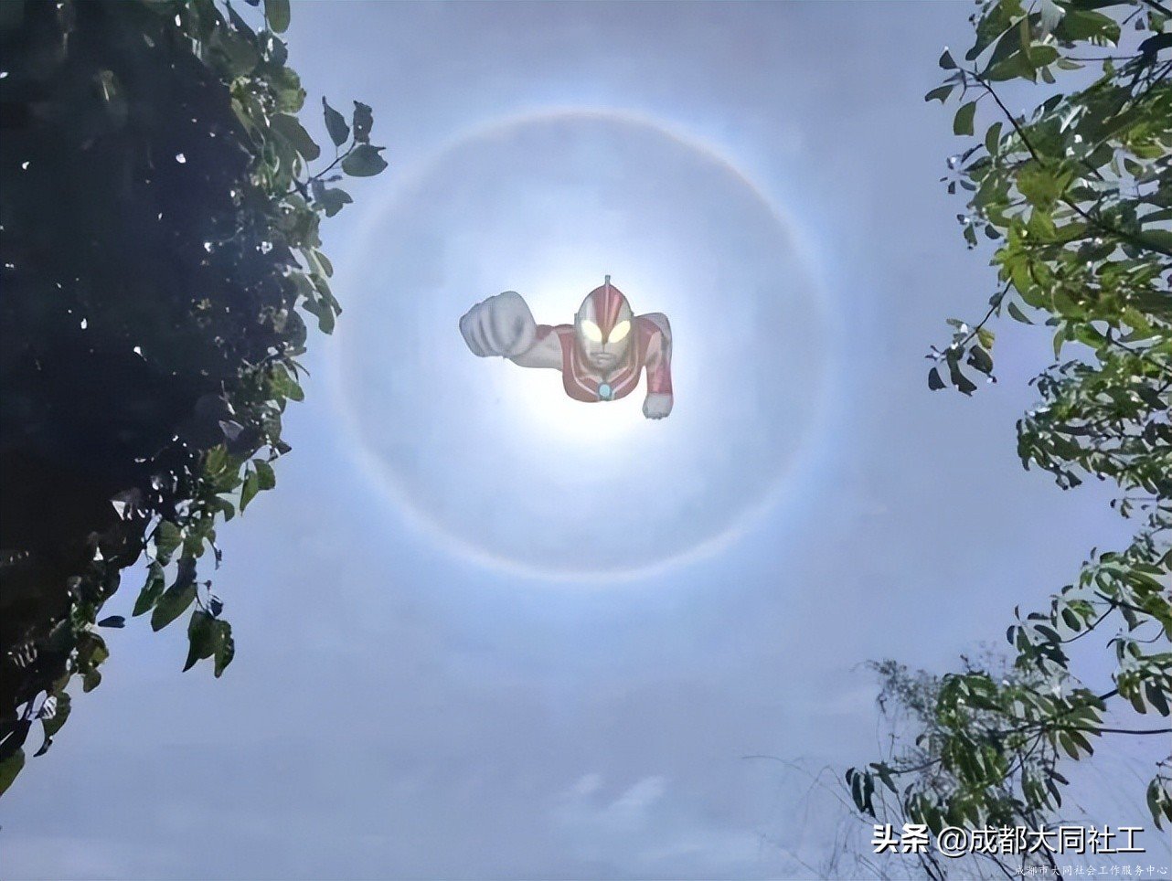 「省創投賽」四川省首屆公益創投大賽申報自(zì)帶光環出場答疑（一(yī)）