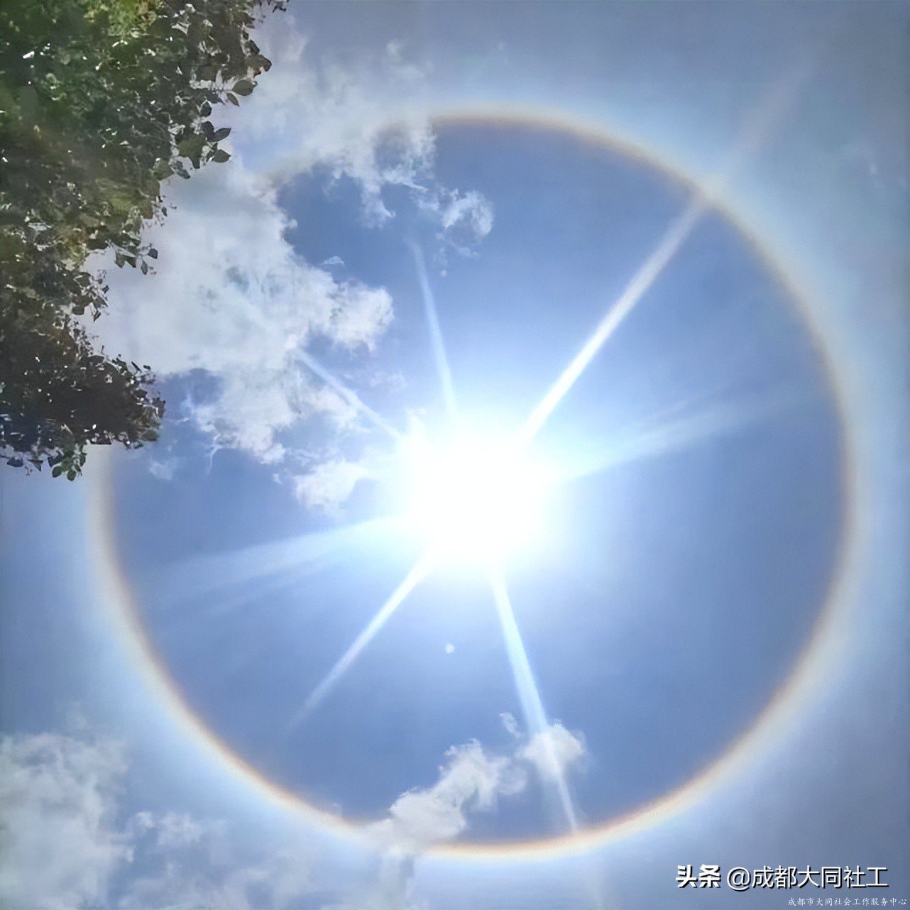 「省創投賽」四川省首屆公益創投大賽申報自(zì)帶光環出場答疑（一(yī)）