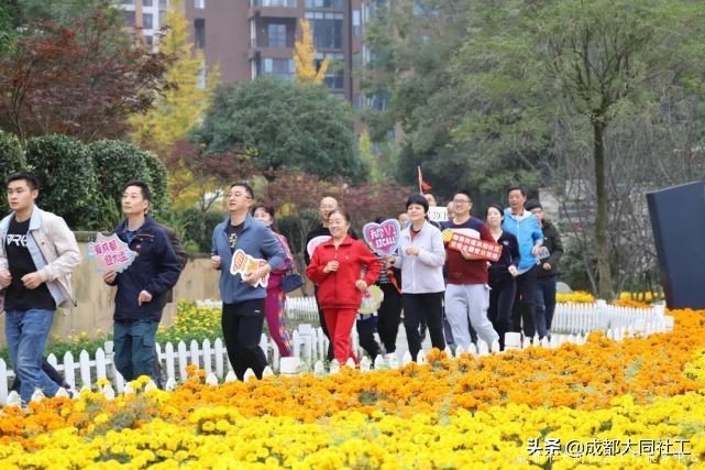 黨建引領丨雙小柏與你一(yī)起乘風破浪走過的(de)2020