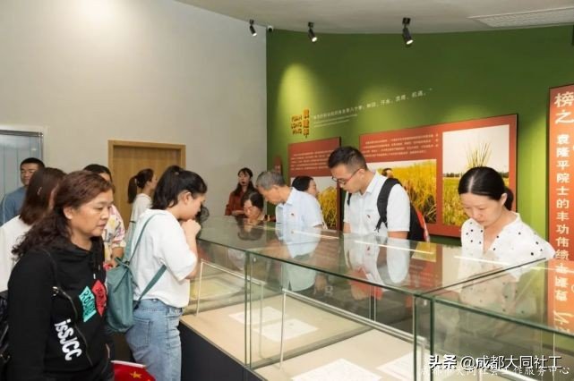 黨建引領丨雙小柏與你一(yī)起乘風破浪走過的(de)2020