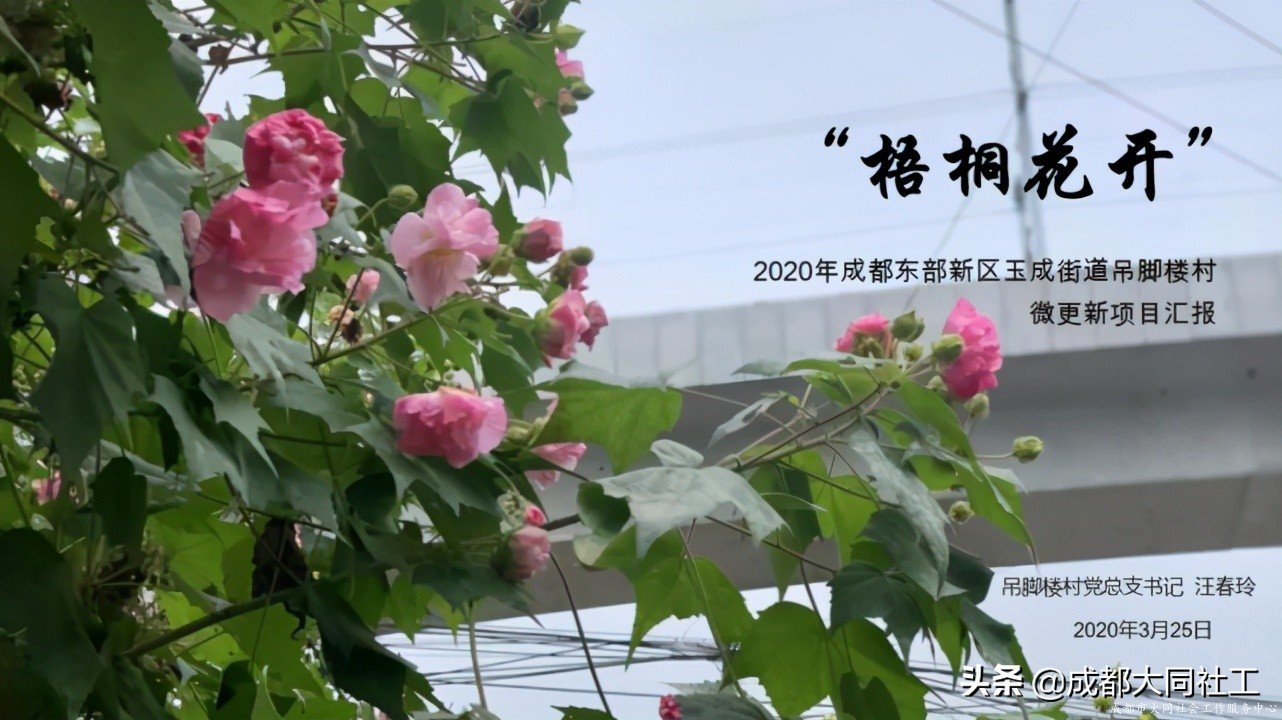 「活動回顧」微更新 促發展 激活力