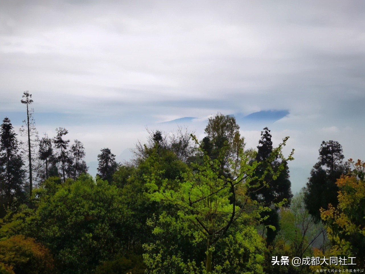 “文創犀浦，共營共建”公共空間運營項目——國學(xué)朗誦茶言活動