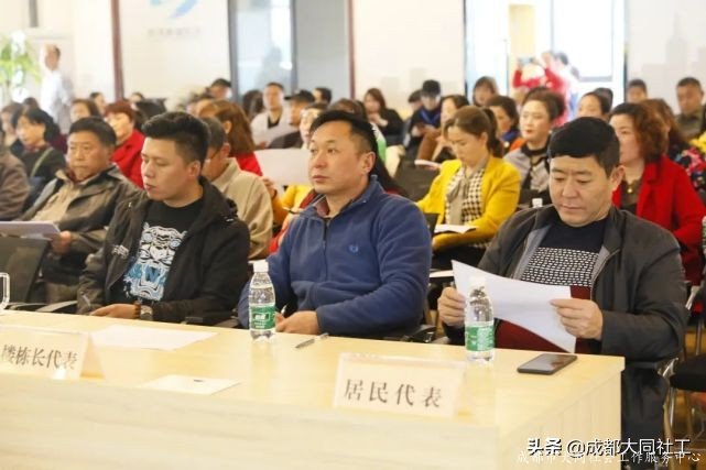 府河新居社區召開2021年(nián)度社區發展治理(lǐ)專項保障資金項目評審會議