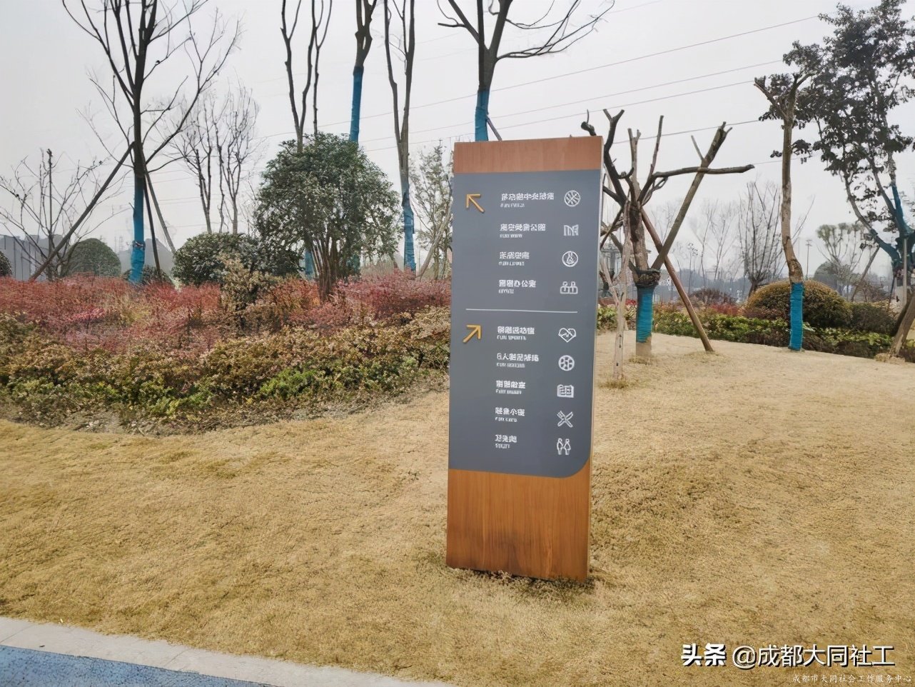 社工·社治 | 推進天府藝術公園周邊片區社區營造（二）