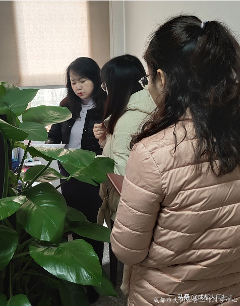 社工·社治 | 天府藝術公園周邊片區社區營造（一(yī)）