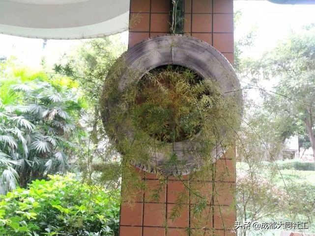 「金牛百千萬」走進九裏堤，開展“微幸福”示範院落指導工作