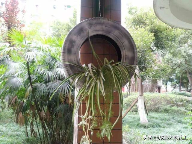 「金牛百千萬」走進九裏堤，開展“微幸福”示範院落指導工作